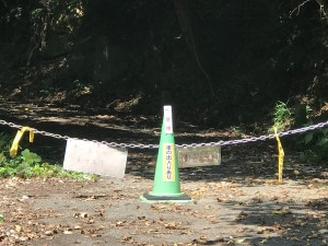 IMG_5893